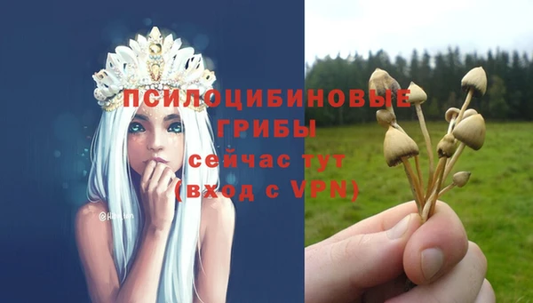 таблы Михайловка