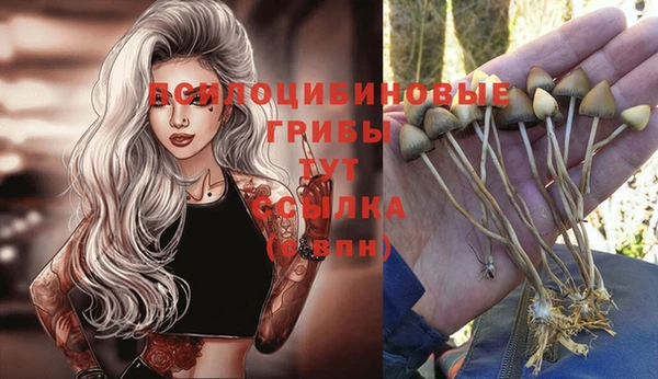 таблы Михайловка