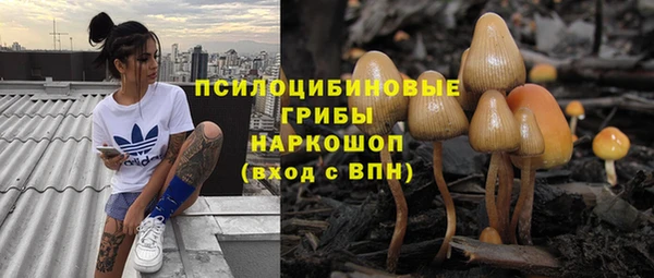 альфа пвп Медвежьегорск