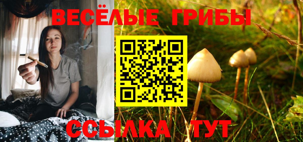 Лангепас  дарнет шоп  Вход с VPN  Галлюциногенные грибы Magic Shrooms 