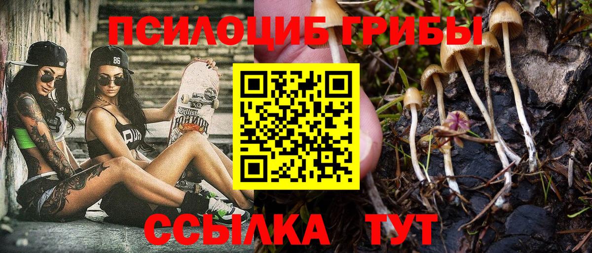 Галлюциногенные грибы Psilocybe Лангепас